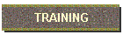 TRAINING/LESSONS