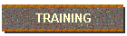 TRAINING/LESSONS