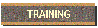 TRAINING/LESSONS